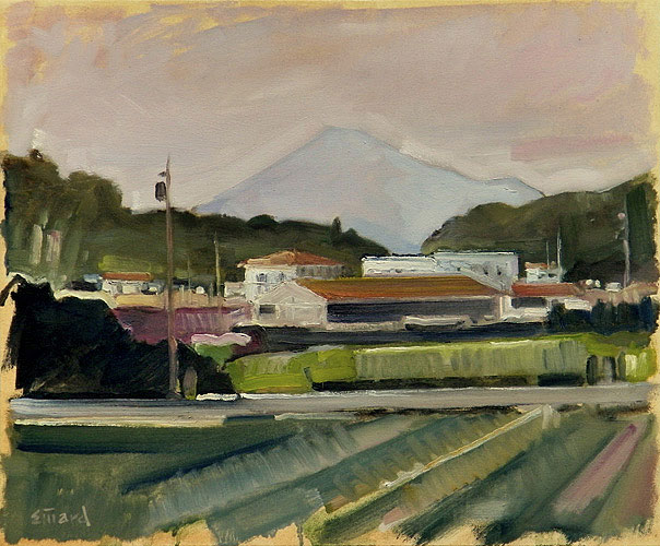 Mt Fuji #23