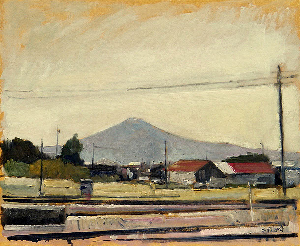 Mt Fuji #21