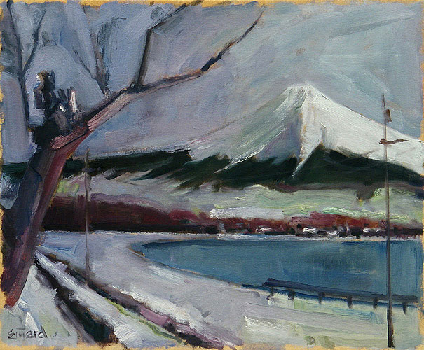 Mt Fuji #20
